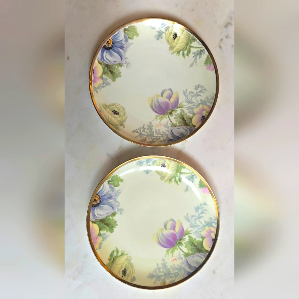 Vintage Austrian 9" Floral Gold Leaf Edge handpainted Austrian Plates